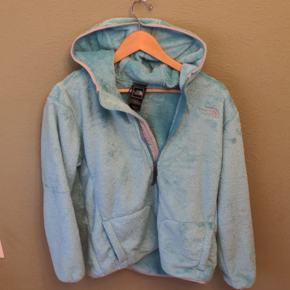The North Face Winter Jacket